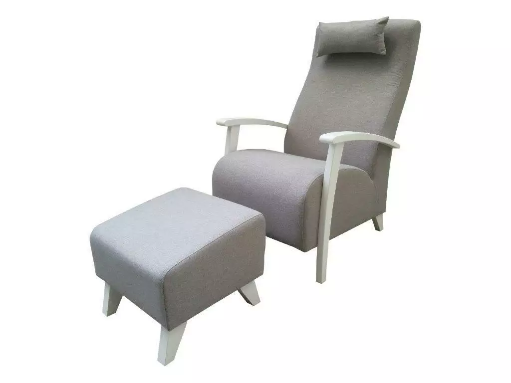 Nojatuoli+rahi Poolo, Vaalea Harmaa 1 Nojatuoli+rahi Poolo, Vaalea Harmaa