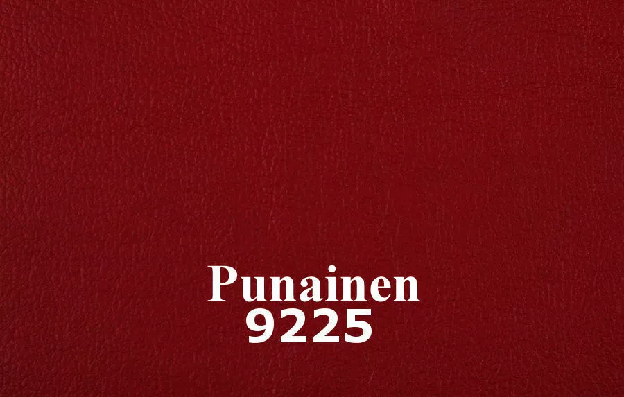 Spencer Sohvakalusto 3+2, Nahkaa 5 Spencer Sohvakalusto 3+2, Nahkaa - Image 5