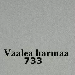 Spencer Sohvakalusto 3+2, Nahkaa 27 Spencer Sohvakalusto 3+2, Nahkaa -Tuolit Kauppa empak20nahka20733vaalea20harmaa45